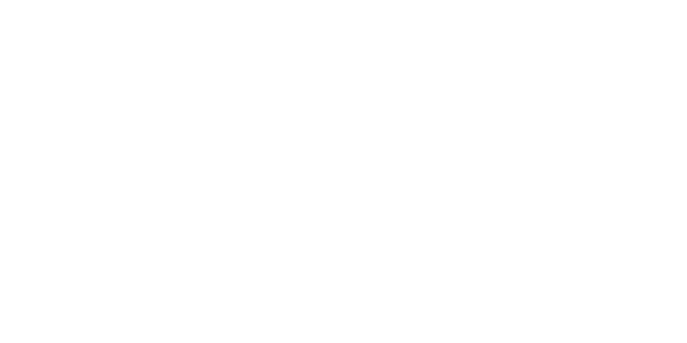 Hanya — AI-accelerated MMM